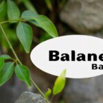 Rising interest rates