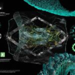 Nvidia's advancements in AI technology