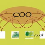 Factors contributing to the rise in cocoa prices