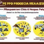 Impact on businesses in Nigeria