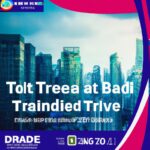 Effects of trade-in incentives on consumer behavior