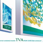 Teva Pharmaceuticals' market performance